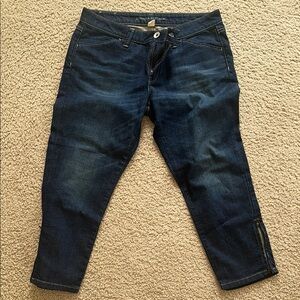 Banana Republic Blue Skinny Cropped Jeans